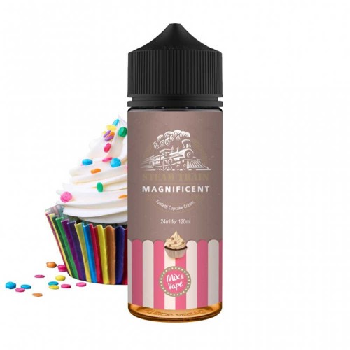 Steam Train Magnificent (24ml to120ml)