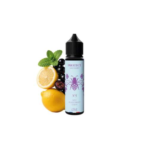 Protect Mint Blackcurrant Lemon Flavour Shot 12/60ml